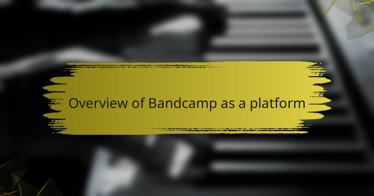 Overview of Bandcamp as a platform